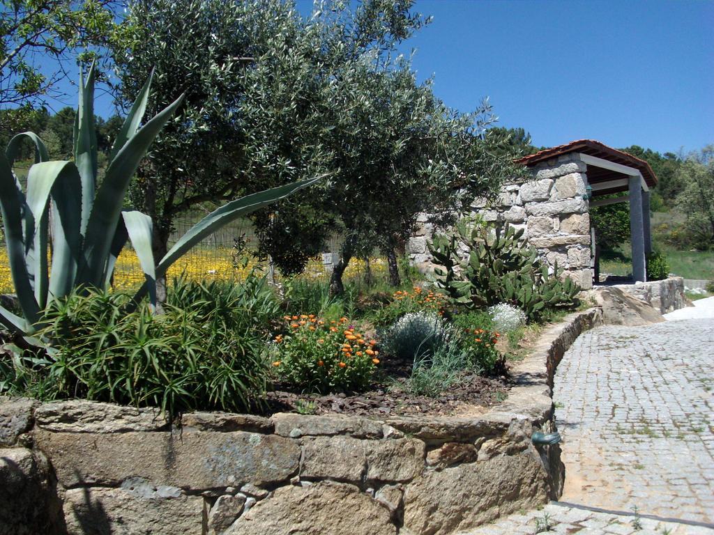 Quinta Do Mineiro-Serra Da Estrela Matanca Habitación foto