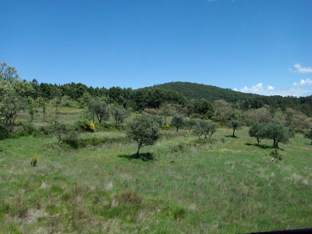 Quinta Do Mineiro-Serra Da Estrela Matanca Habitación foto